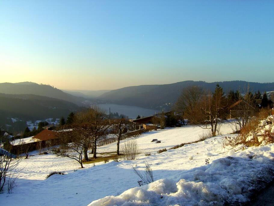Gerardmer Centre - Studio Au Pied Du Lac Grande Terrasse Bagian luar foto